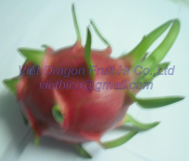 Dragon fruit