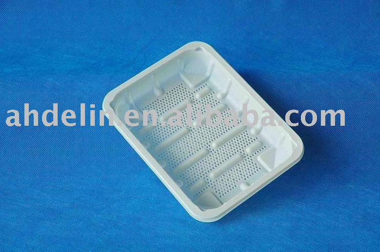 Biodegradable Disposable Tray