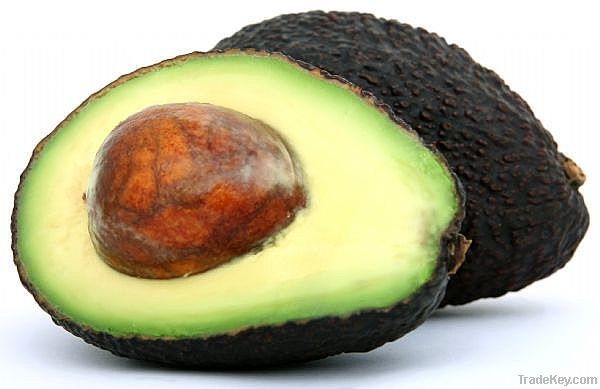 Hass Avocado