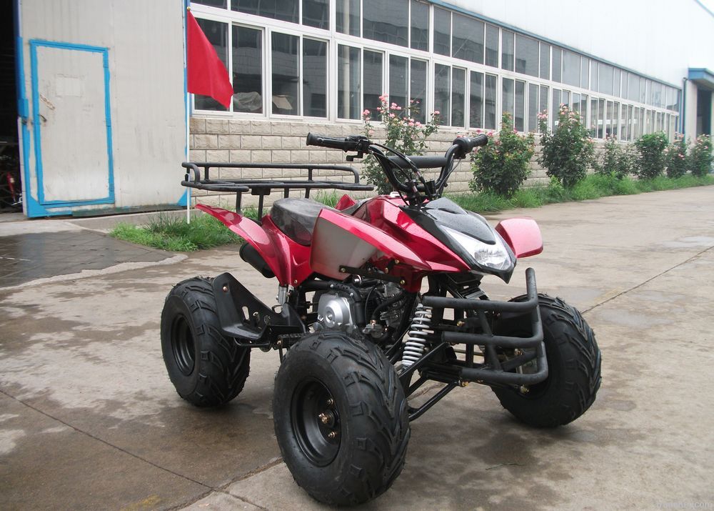 ATV110cc (LZ110-6) EEC, EPA