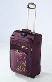 shengtailuo trolley case