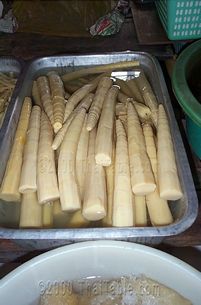 Bamboo Shoots in Tins