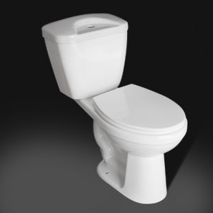 Toilet(JT4)