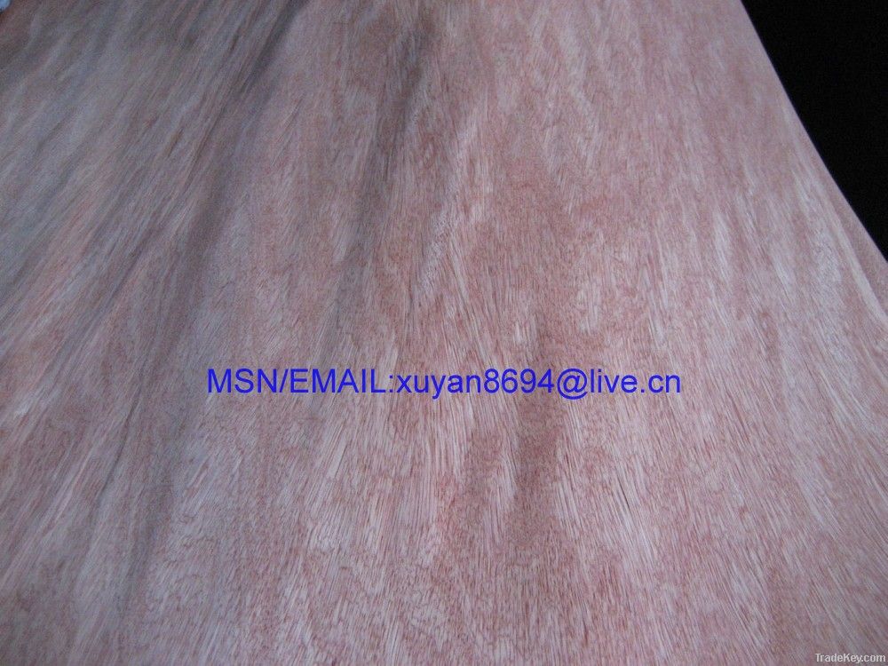 door size hardwood veneer