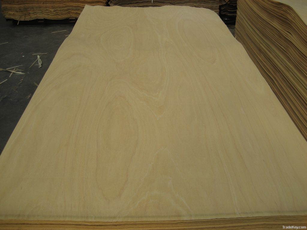 wood veneer for plywood