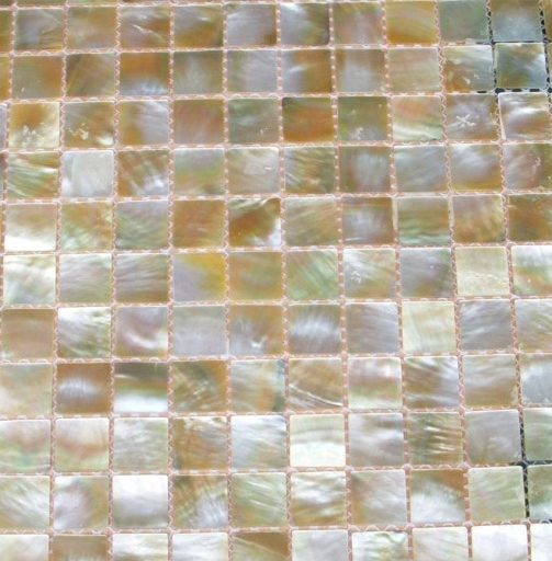 Shell Mosaic Tile(MJ-G01)