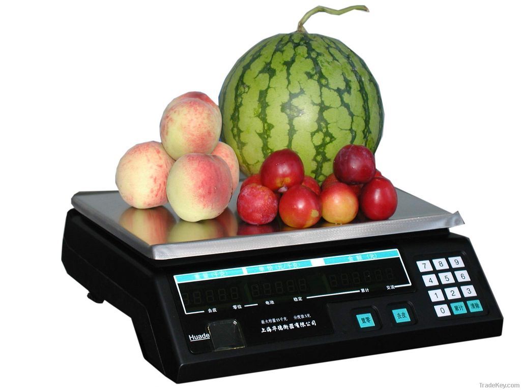 Electronic Scale