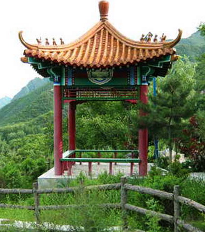 China traditional style roof