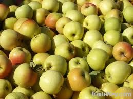 Fresh apples