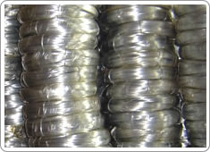 Galvanized Wire