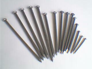 supply all kinds of common nail(factory)