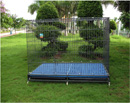 Dog Cage,pet cage ,pet product