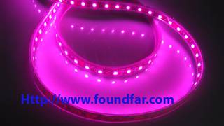 FYT Pink LED5050 SMD Flexible Strip