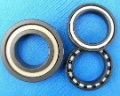 Ceramic Ball Bearings