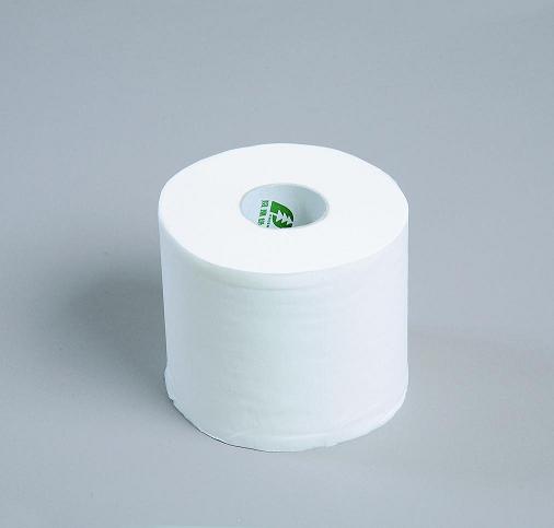 OEM Toilet Tissue Paper Roll