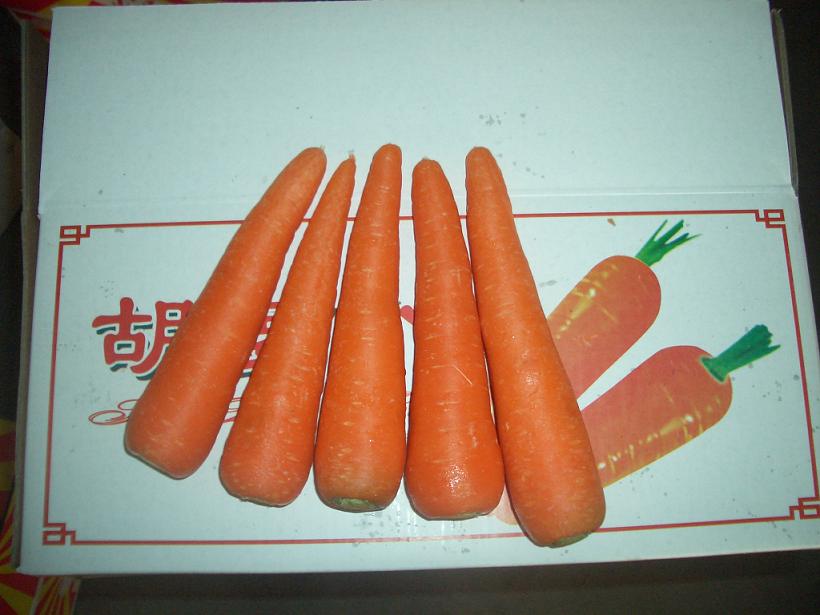 sell carrot
