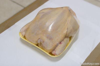 Freezed Packaged Whole Chicken