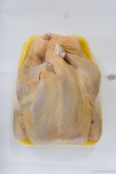 Freezed Packaged Whole Chicken