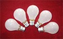 frosted bulbs / clear bulbs