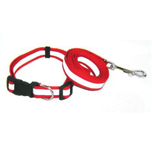 Leash And Collar