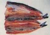 Dried Cobia Fish