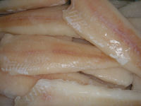 frozen alaska pollock fillet,