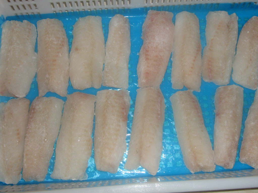 frozen alaska pollock loin