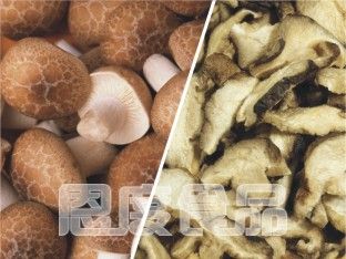 Freeze Dried Shiitake Mushroom
