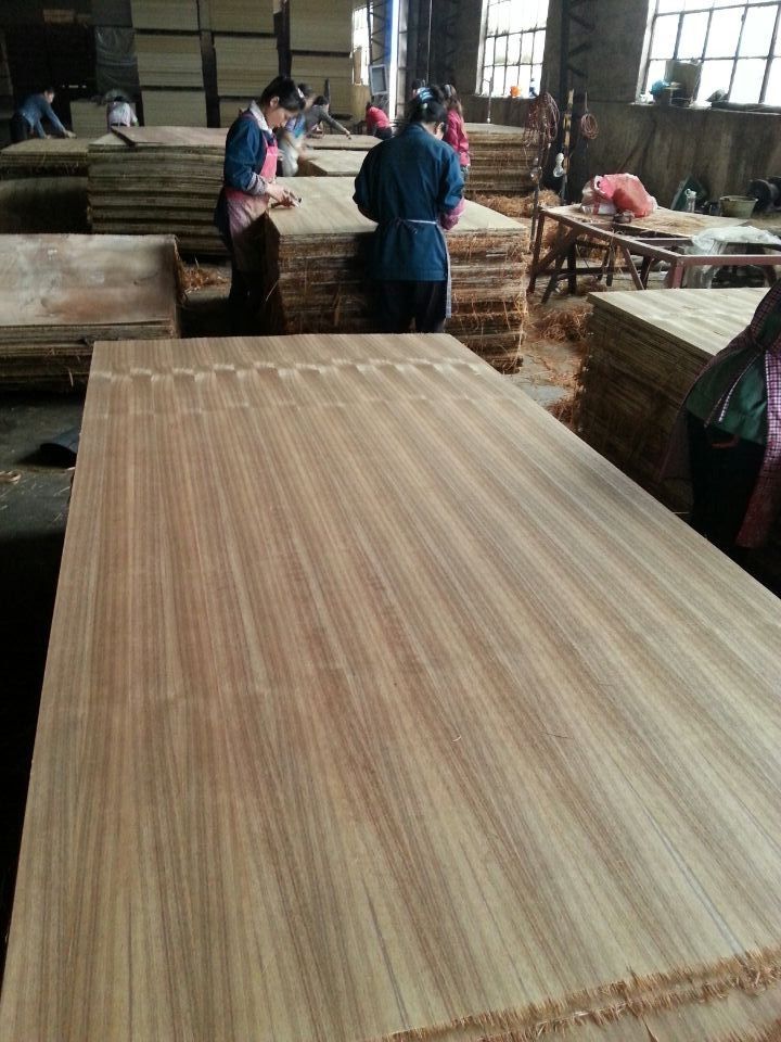 Burma Teak Plywood