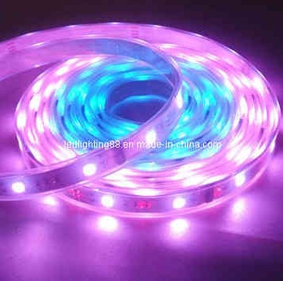 LED strip/Flexible LED strip/LED flexible strip