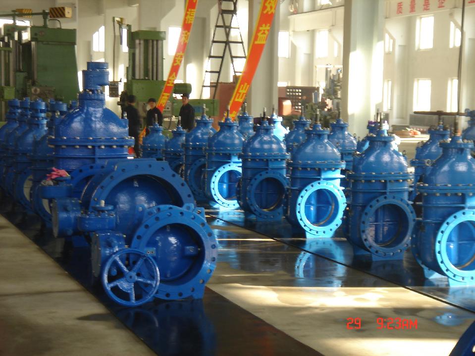 Gate Valves (BS5163/EN1171)