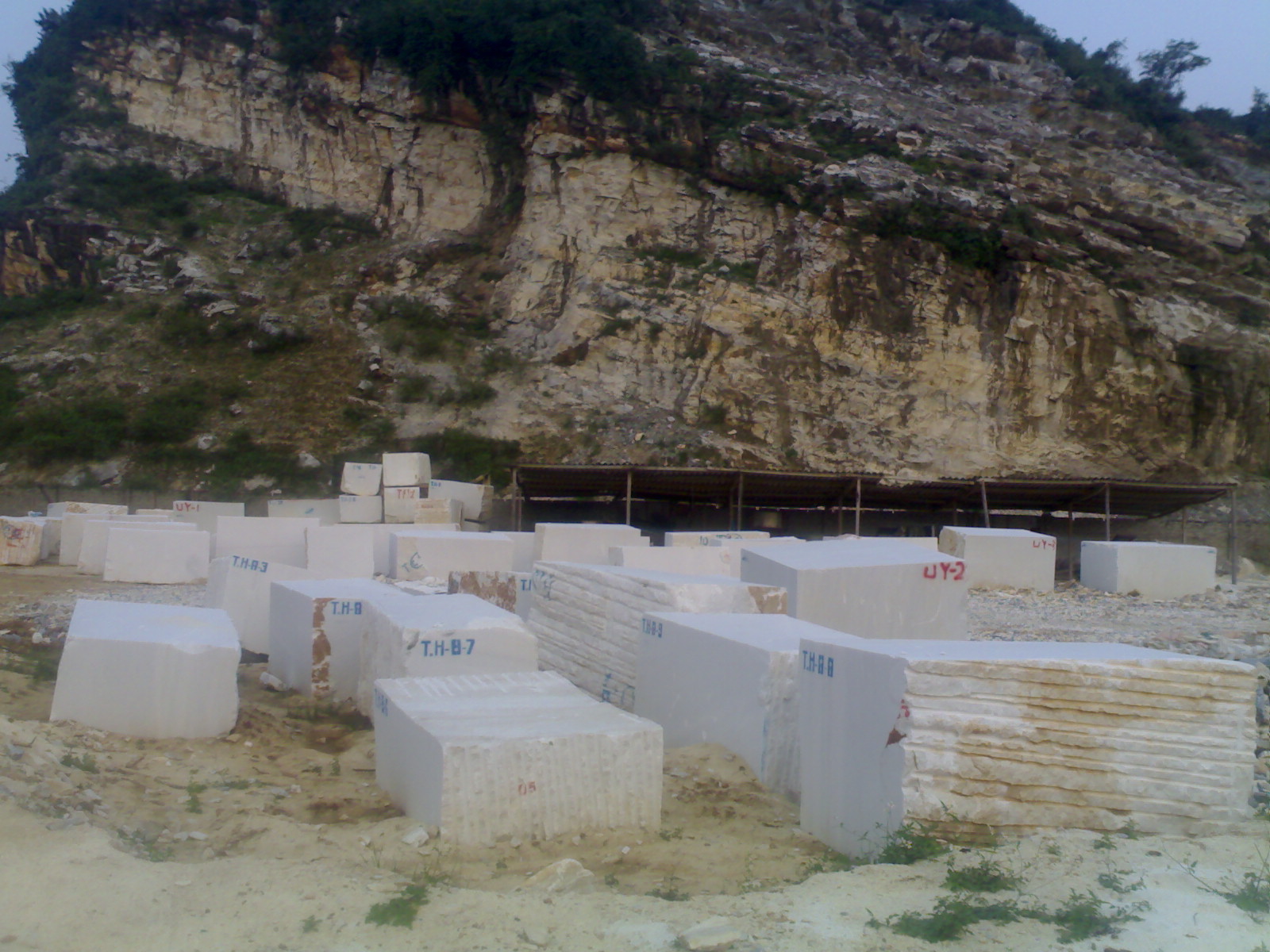 Marble Slabs, Pure white Marble, tile of Viet Nam