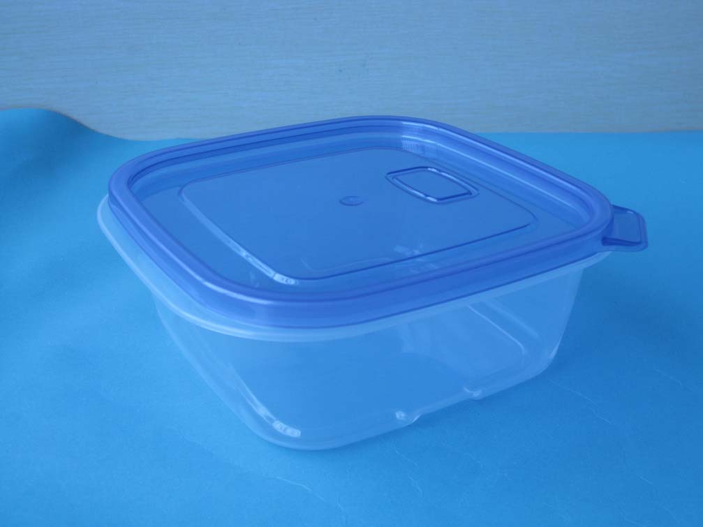 Square Disposable Food Container