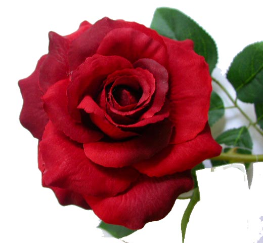 plastic flower rose