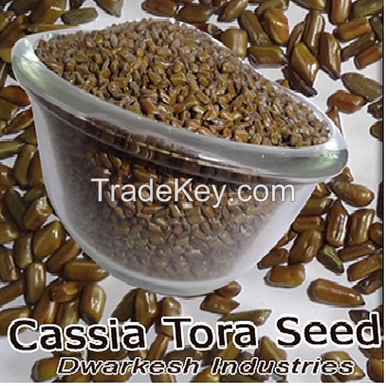 Cassia tora seeds