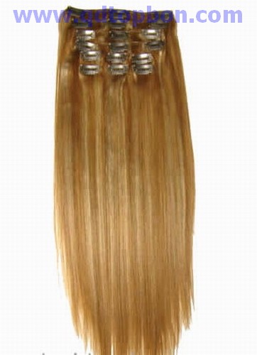 Clip-In Human Hair Extension