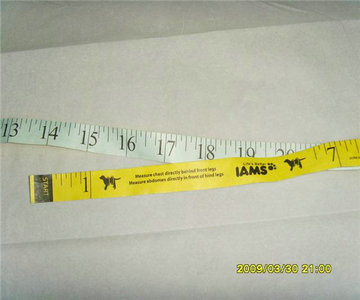 Tyvek tape measure