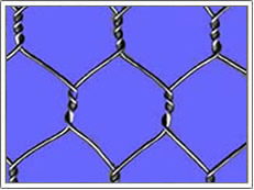 Hexagonal Wire Mesh