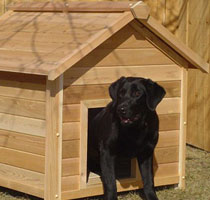 Wooden Doggy House