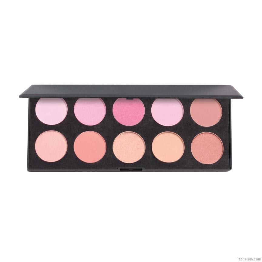 Artist Blush Palette: 10 Colors