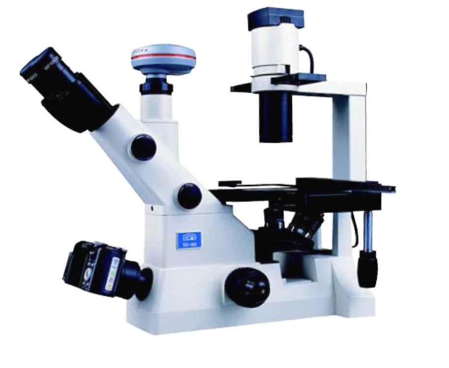 XD-202 inverted biological microscope