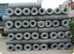 Hexagonal Wire Mesh