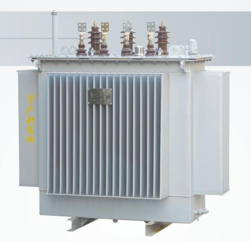 10kV  three phase oil immersed power distribution transformer