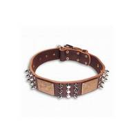 pet collars with spikes