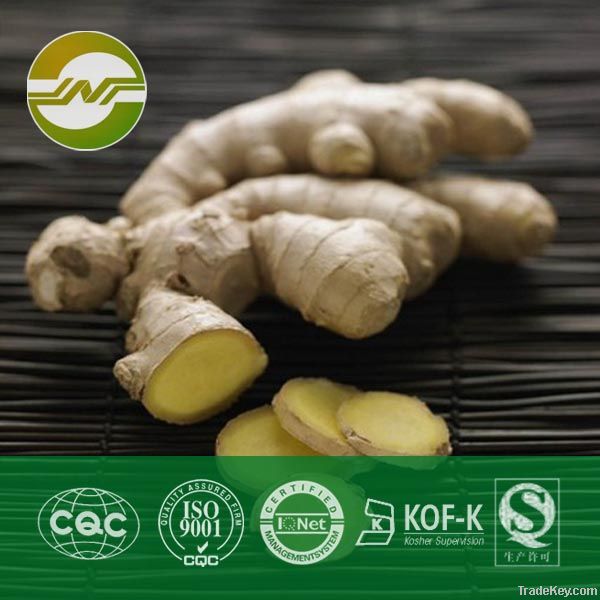 ginger root extract