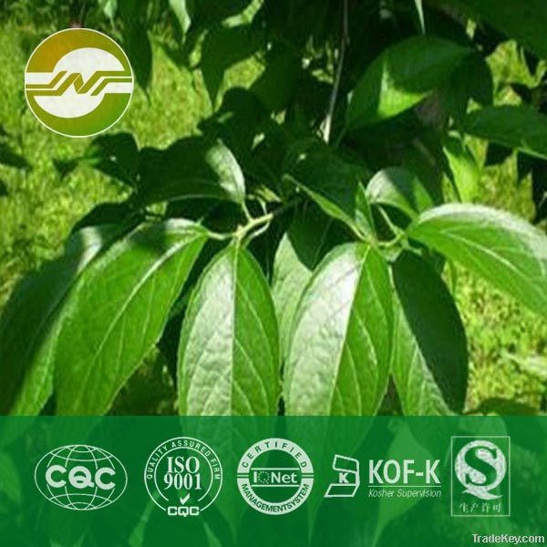eucommia leaf extract-chlorogenic acid