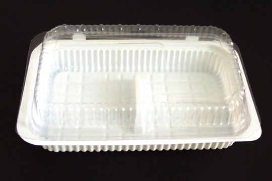 Disposable Food Containers