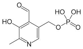 Vitamin B6 