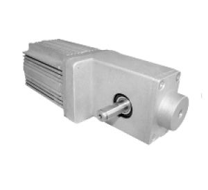 Brushless DC Motor dia.60mm for Auto Gates