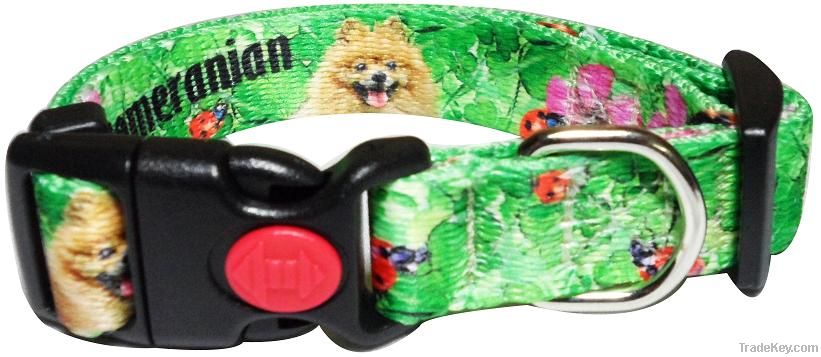 Dog Collar-Small